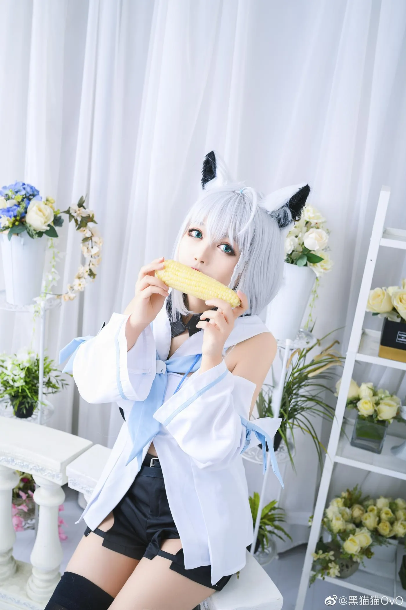 黑猫猫OvO – NO.24 图61套-白上吹雪 [13P]插图8